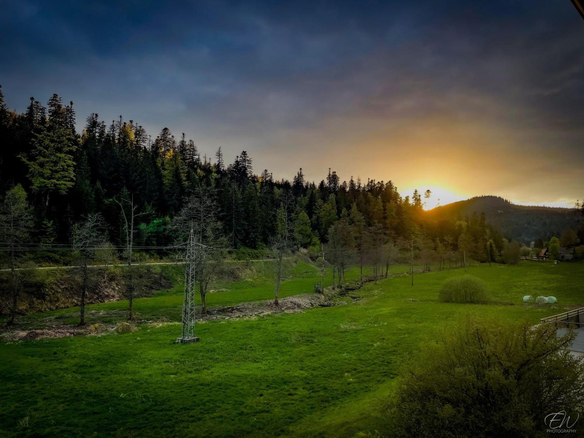 Haus Gisela Lägenhet Forbach Exteriör bild