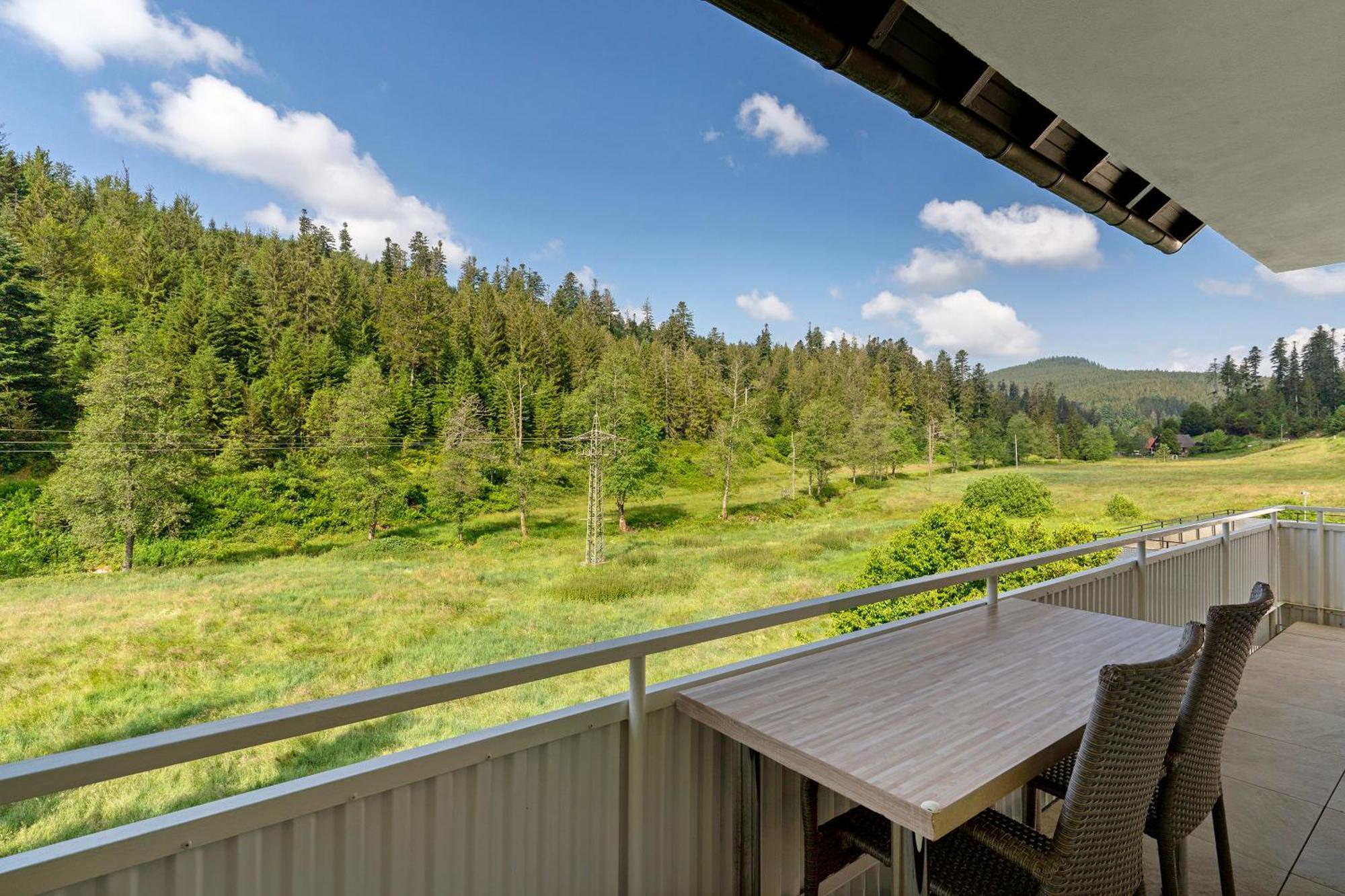 Haus Gisela Lägenhet Forbach Exteriör bild